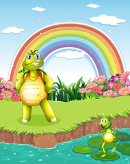 A turtle and a frog at the pond with a rainbow in the sky