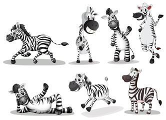 Playful zebras © GraphicsRF