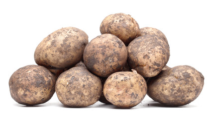 Fototapeta premium not washed potatoes