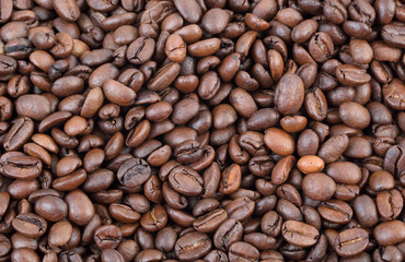 Agriculture, closeup of roasted coffee beans background