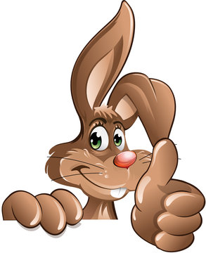 Rabbit thumbs up