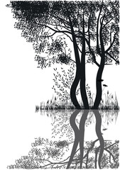 silhouettes of trees by the lake