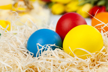 Easter decoration with tulip and colored eggs