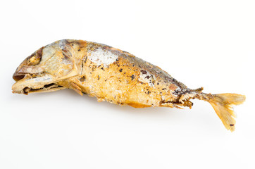 fried mackerel isolated white background