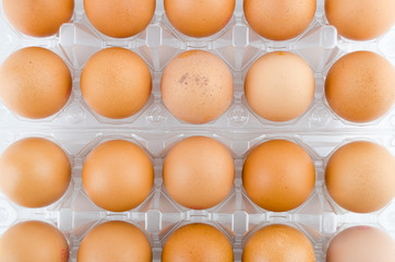 Eggs packed isolated white background