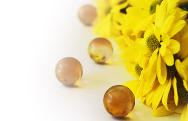 Daffodil in a bouquet