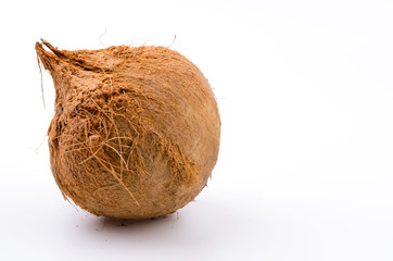 Coconut isolated white background