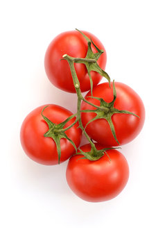 Tomaten isoliert