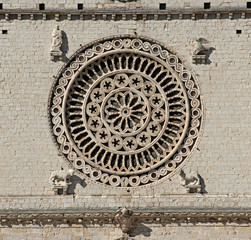 Rosette von San Francesco in Assisi, Italien