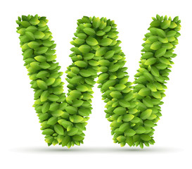 Letter W,  vector alphabet of green leaves