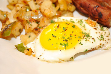 Close-Up of an Over Easy Egg Served