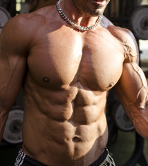 Fototapeta na wymiar Muscular torso of shirtless man in gym during workout