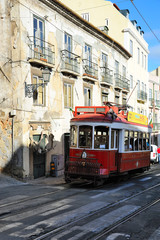 Fototapeta na wymiar Le tramway de Lisbonne