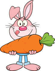 Hungry Pink Rabbit Cartoon Character Holding A Big Carrot