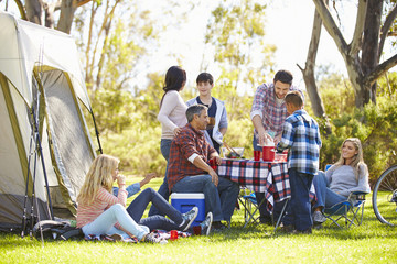 Two Families Enjoying Camping Holiday In Countryside