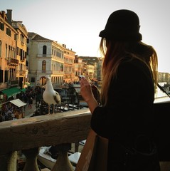 Seagull at Rialto bridge