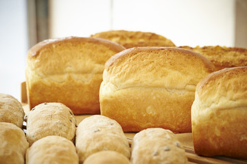 Bread