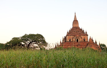 Fototapeta premium Temples in Bagan, Myanmar 
