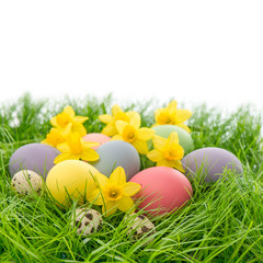 easter eggs and flowers in grass over white