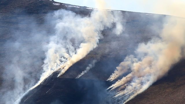 Sc&egrave;ne d'un feu &eacute;cobuage en montagne