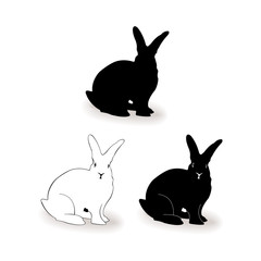 Form contour bunny, rabbit vector