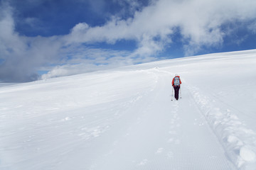 Fototapeta na wymiar Wandern, Rittner Horn, Winter, Winterwandern, Südtirol