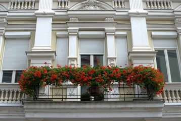 Fototapeta na wymiar Urządzony balkon, bałtycki klimat i architektura flora