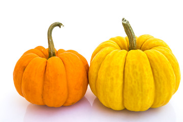 Pumpkin isolated on white background