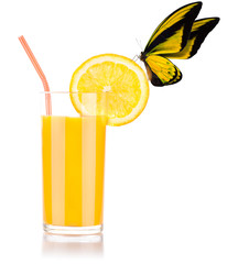 fresh orange juice with butterfly