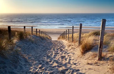 Acrylic prints North sea, Netherlands path to North sea beach in gold sunshine