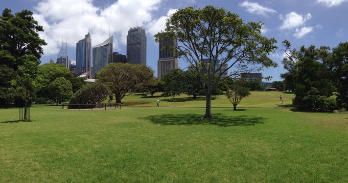 Sydney Botanic Gardens