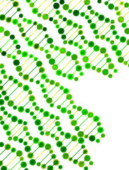 beautiful structure of the DNA molecule