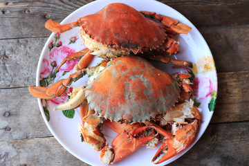 Steam Sea crab