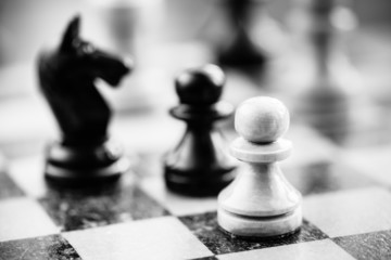 White and black chess pawns and knight standing on chessboard © Great Brut Here