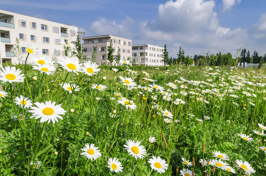 es wird Fr&uuml;hling