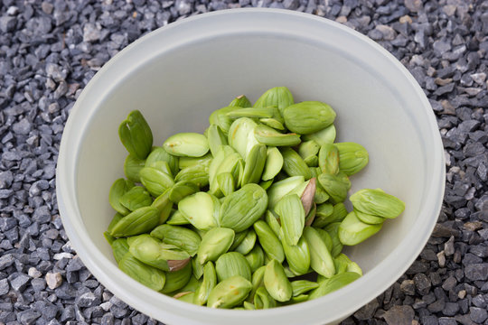 Stink Beans in bowl