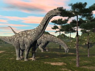 Obraz na płótnie Canvas Argentinosaurus dinozaur zjadanie drzewo - 3D render