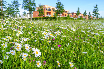 es wird Frühling im Park
