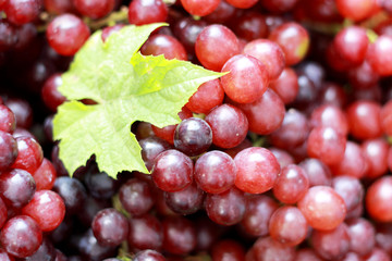 Fresh grapes with green leaves on a background.