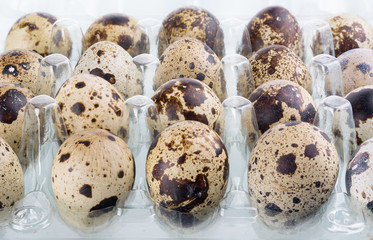 quail eggs