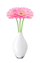 beautiful pink gerbera daisy flowers in vase isolated on white