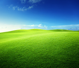 green field and blue sky