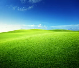 Fotobehang green field and blue sky © Iakov Kalinin