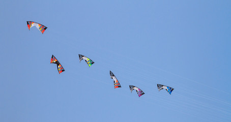 Fototapeta na wymiar Kites on blue sky