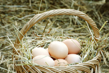 basket with eggs