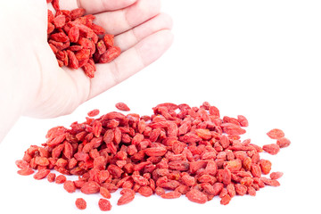 Goji berries in a hand