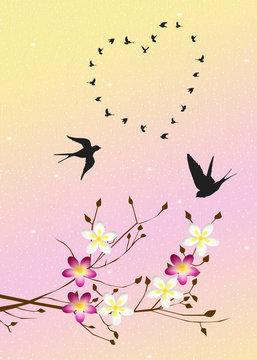 swallows in spring