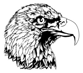 Bald Eagle Head Illustration