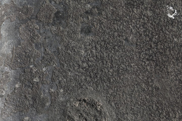 wall