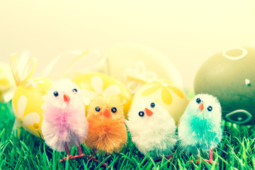 easter chick and eggs